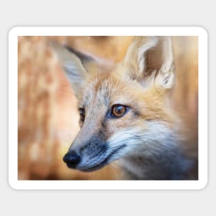Fox Portrait Sticker